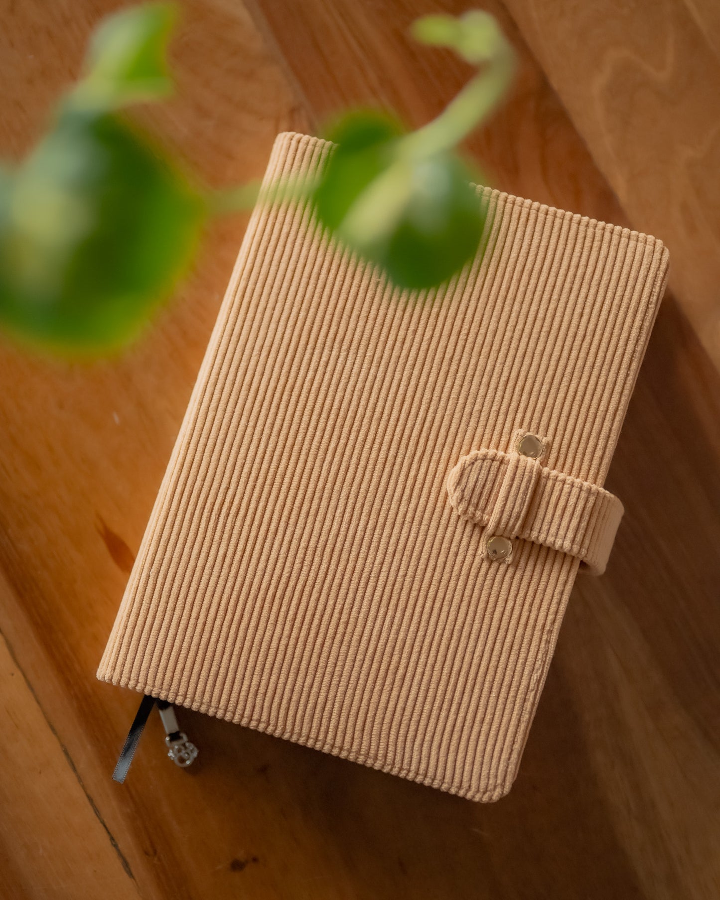 2026 Archer & olive Box Set | 9つの文房具セット