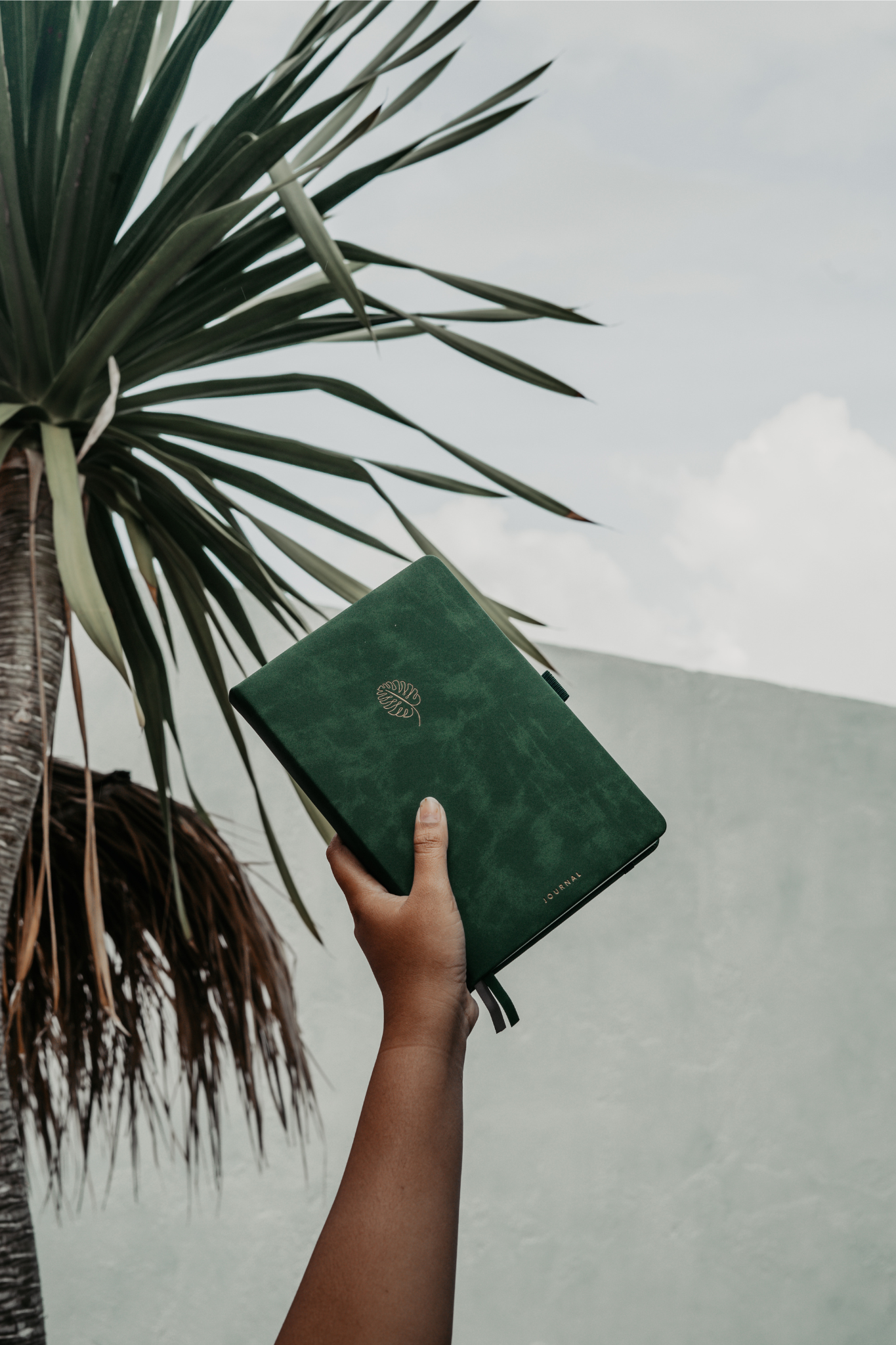 【OUTLET5%OFF】バレットジャーナル | A5ノート | Monstera Leaf